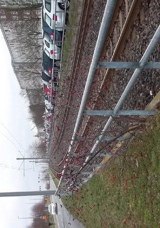 die Erzählungen des Sheik Akim