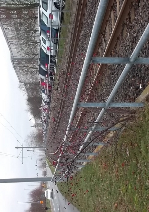 die Erz&auml;hlungen des Sheik Akim - Joachim Ziegler