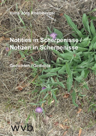 Notities in Scherpenisse / Notizen in Scherpenisse