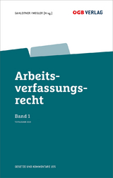 Arbeitsverfassungsrecht Bd 1 - 