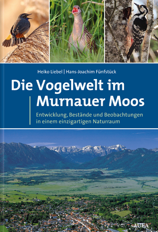 Die Vogelwelt im Murnauer Moos