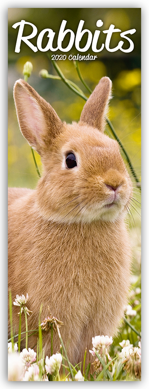 Rabbits Slim Calendar 2020 -  Avonside Publishing Ltd