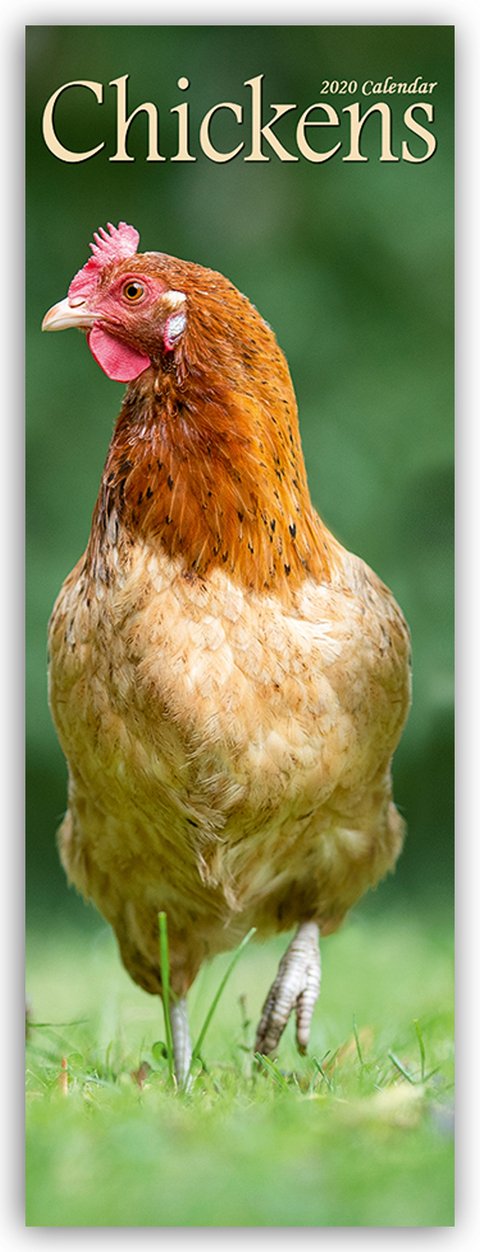 Chickens Slim Calendar 2020 -  Avonside Publishing Ltd