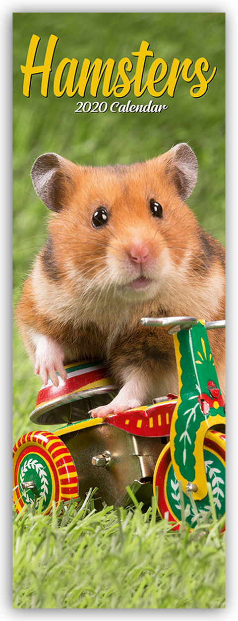 Hamsters Slim Calendar 2020 -  Avonside Publishing Ltd