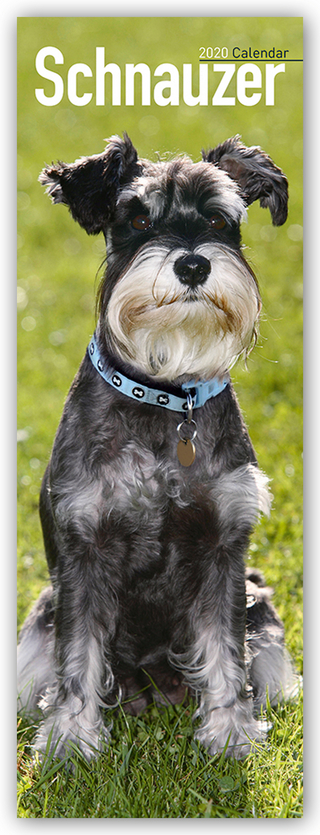 Schnauzer Slim Calendar 2020