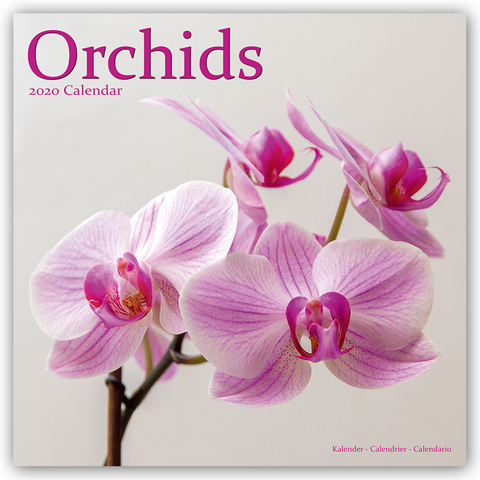 Orchids Calendar 2020 -  Avonside Publishing Ltd
