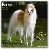 Borzoi Calendar 2020 - Avonside Publishing Ltd