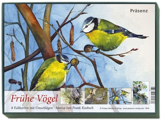 KK-Box Frühe Vögel
