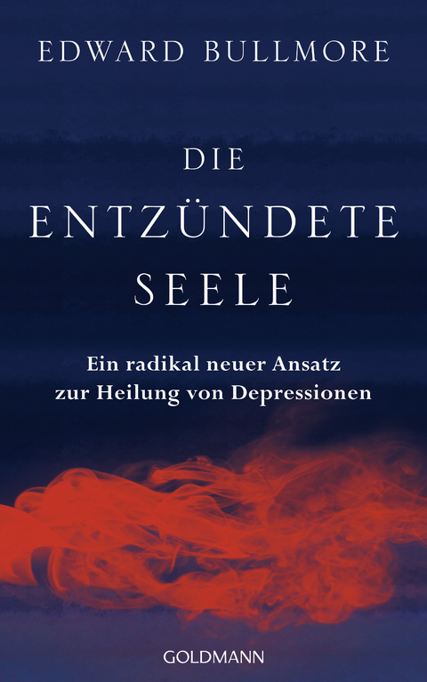 Die entz&uuml;ndete Seele - Edward Bullmore