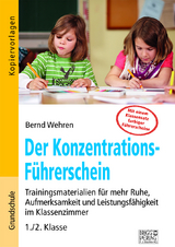 Der Konzentrations-F&uuml;hrerschein - Bernd Wehren