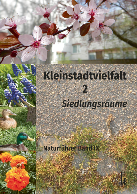Kleinstadtvielfalt 2 - 