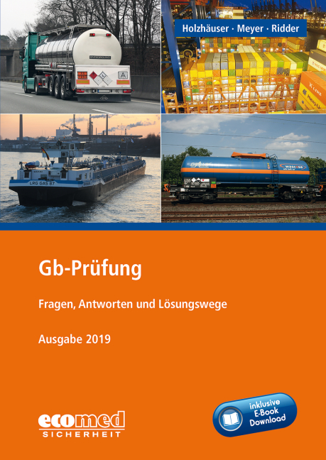 Gb-Pr&uuml;fung inklusive E-Book - J&ouml;rg Holzh&auml;user, Klaus Ridder, Irena Meyer