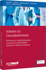 Arbeiten im Gesundheitswesen - Peter Angerer, Harald G&uuml;ndel, Stephan Brandenburg, Albert Nienhaus, Stephan Letzel, Dennis Nowak