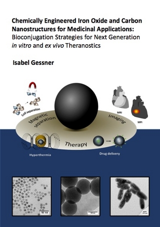 Chemically Engineered Iron Oxide and Carbon Nanostructures for Medicinal Applications: Bioconjugation Strategies for Next Generation in vitro and ex vivo Theranostics