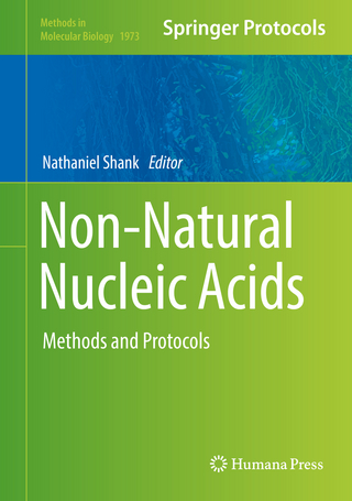 Non-Natural Nucleic Acids