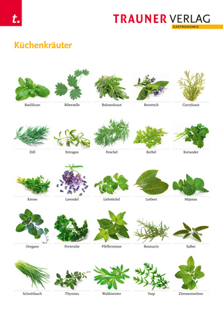 Poster: Küchenkräuter