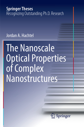The Nanoscale Optical Properties of Complex Nanostructures