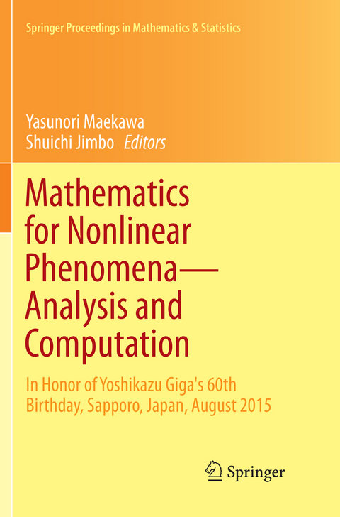 Mathematics for Nonlinear Phenomena &mdash; Analysis and Computation - 