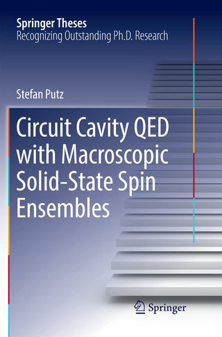 Circuit Cavity QED with Macroscopic Solid-State Spin Ensembles
