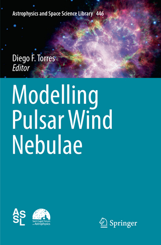 Modelling Pulsar Wind Nebulae