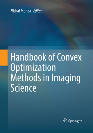 Handbook of Convex Optimization Methods in Imaging Science