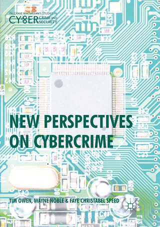 New Perspectives on Cybercrime