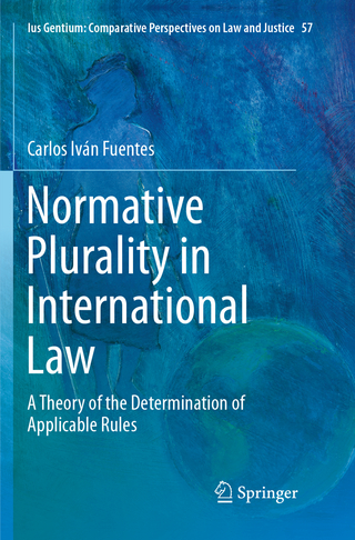 Normative Plurality in International Law