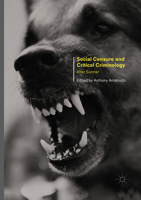 Social Censure and Critical Criminology - 