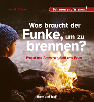 Was braucht der Funke, um zu brennen?