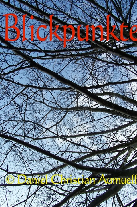 Blickpunkte - Daniel Aum&uuml;ller
