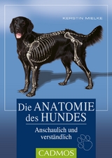 Die Anatomie des Hundes - Mielke, Kerstin