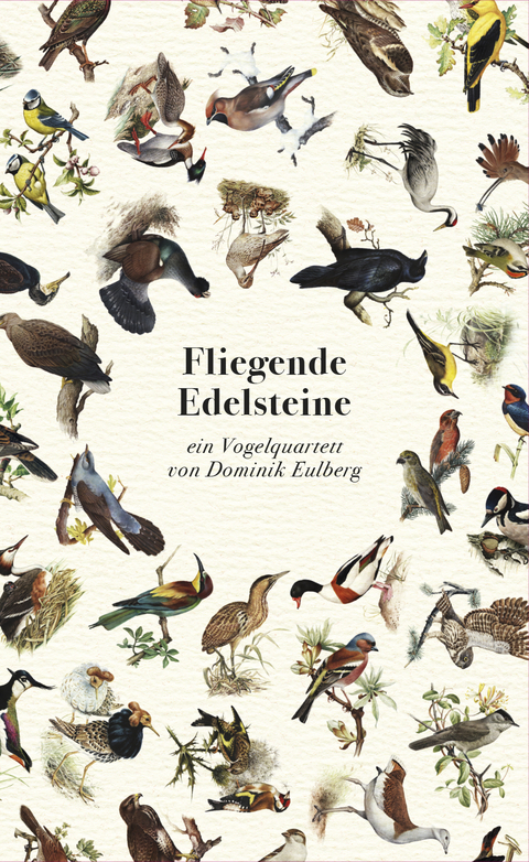 Fliegende Edelsteine - Dominik Eulberg