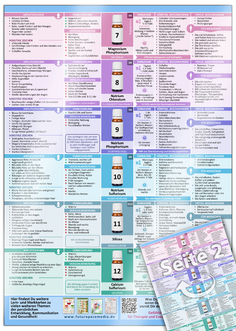 Sch&uuml;&szlig;ler-Salze Nr.1 bis 12 - Auf einen Blick (2024) - Samuel Cremer, Christian Schumacher,  www.futurepacemedia.de
