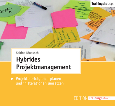 Hybrides Projektmanagement (Trainingskonzept) - Niodusch Sabine