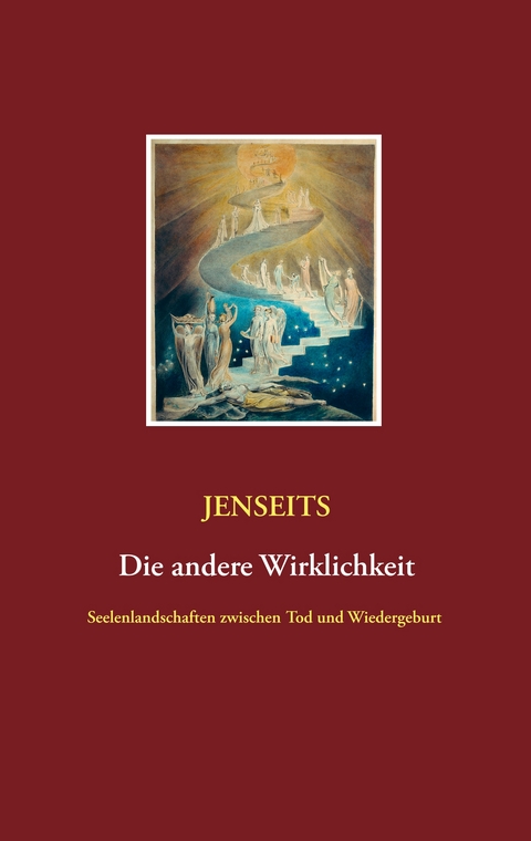 Jenseits die andere Wirklichkeit - Nora Thielen