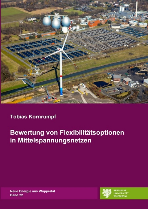 Neue Energie aus Wuppertal / Bewertung von Flexibilit&auml;tsoptionen in Mittelspannungsnetzen - Tobias Kornrumpf
