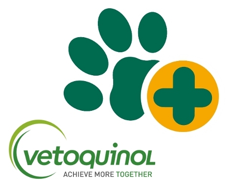 Schmerz lass nach - Neue Therapiekonzepte f&uuml;r Patienten mit Osteoarthrose - Beate Egner