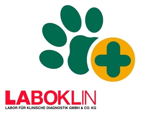 Finally it’s Lupus - Ein Abend über die Labordiagnostik von Autoimmunerkrankungen - Corinna Weber