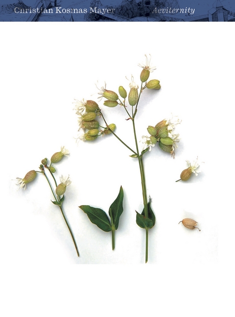 Christian Kosmas Mayer. Aeviternity - 