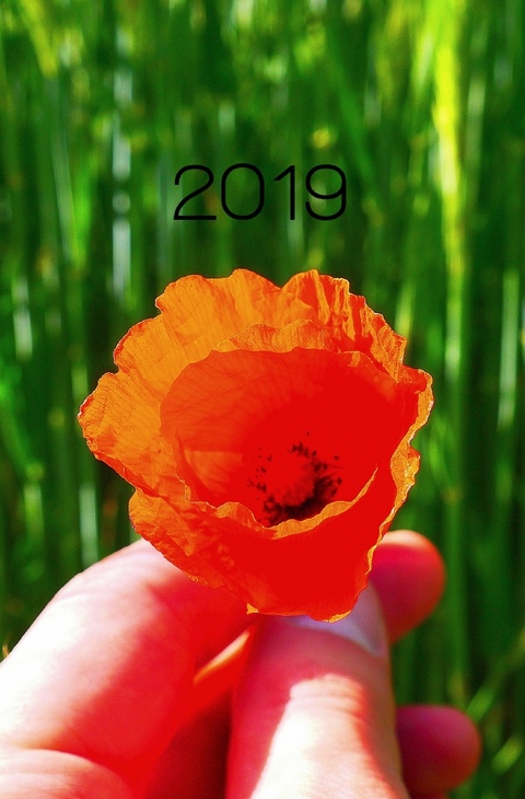 Tagesplaner 2019 | Fotokalender, Terminplaner, Taschenkalender, Tageskalender, Terminkalender, Kalender, Wochenkalender, Buchkalender - Johannes Wild
