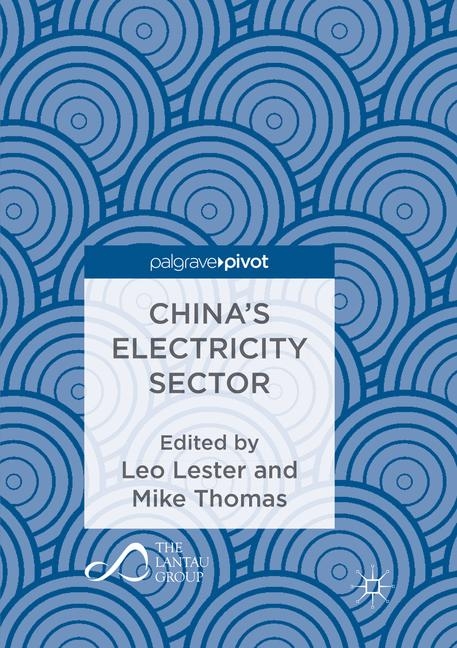 China&rsquo;s Electricity Sector - 