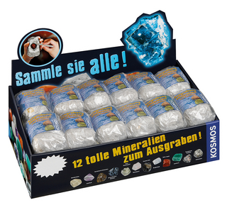 Mineralien & Fossilien (24 Ex. im Display)