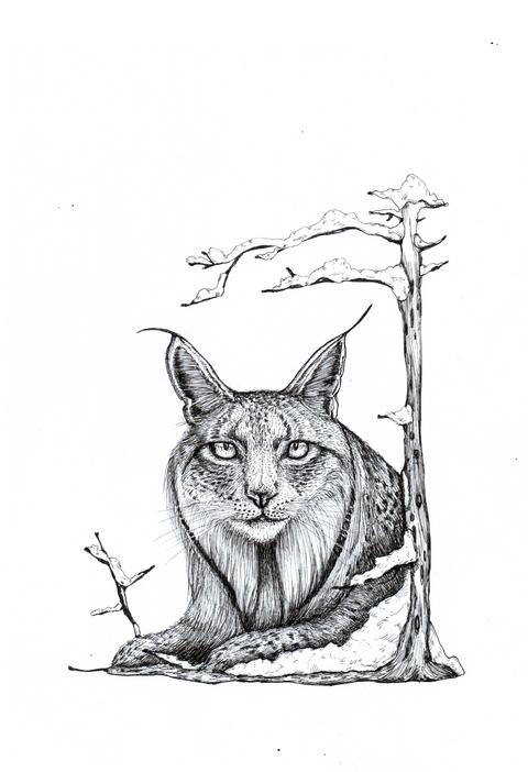 K&ouml;rbe voller Z&ouml;pfe - Natalia Litvinova