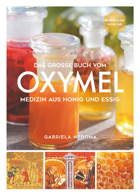 Das gro&szlig;e Buch vom OXYMEL - Gabriela Nedoma