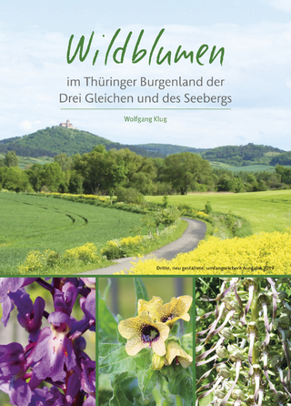 Wildblumen