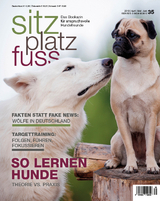 SitzPlatzFuss, Ausgabe 35 - 