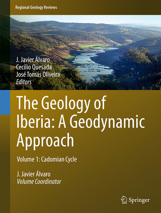 The Geology of Iberia: A Geodynamic Approach