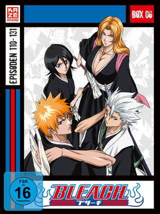 Bleach TV Serie - DVD Box 6 (Episoden 110-131) (4 DVDs)