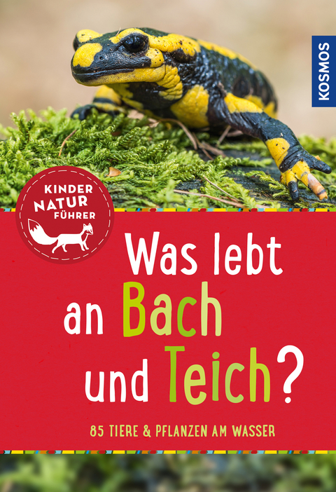 Was lebt an Bach und Teich? Kindernaturf&uuml;hrer - Anita van Saan