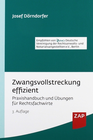 Zwangsvollstreckung effizient